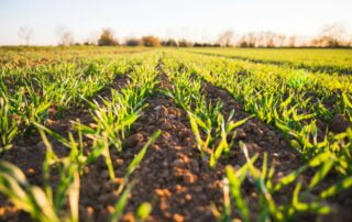 soluciones-agricultores